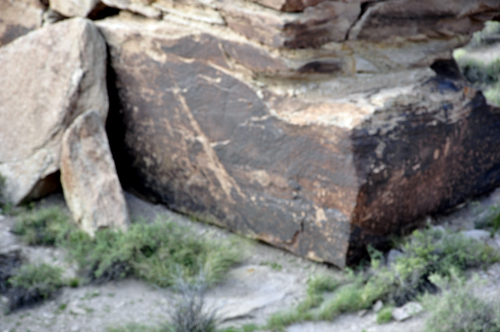 Petroglyphs at Newspaper Rock